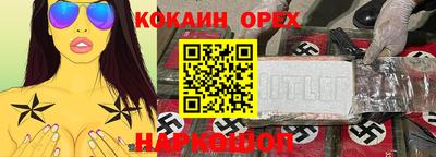 a pvp Славгород