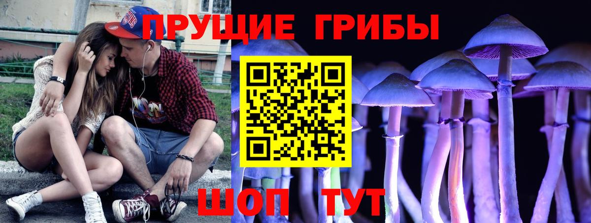 Галлюциногенные грибы MAGIC MUSHROOMS  как найти закладки  Малоярославец  Вход с VPN 